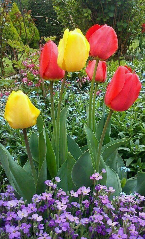 ��� ����