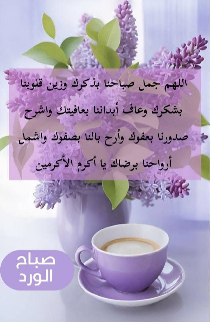 ���� �������_RKsYC